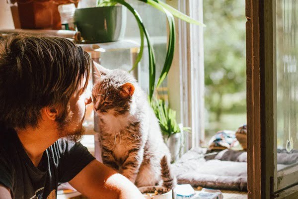 Can You Even Have Pets in an Apartment