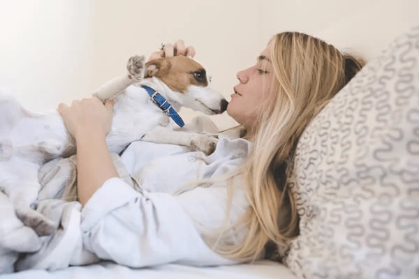 Living in Harmony with Your Pet